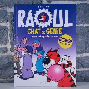 Best of Raoul - Chat de Génie (01)